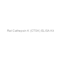 Rat Cathepsin K (CTSK) ELISA Kit